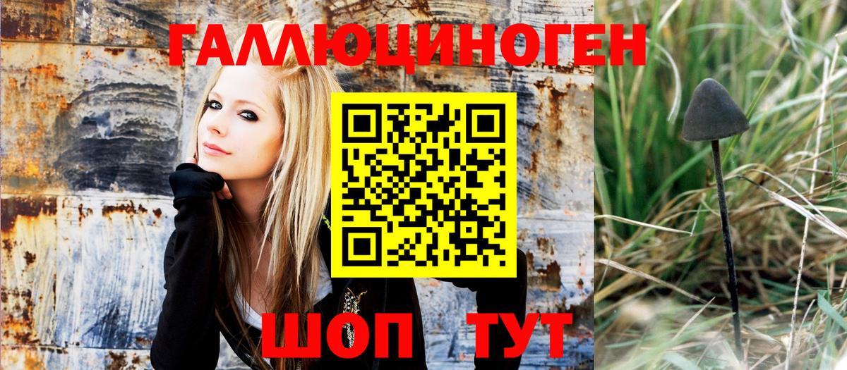 Владивосток  Псилоцибиновые грибы мухоморы  Вход с VPN 